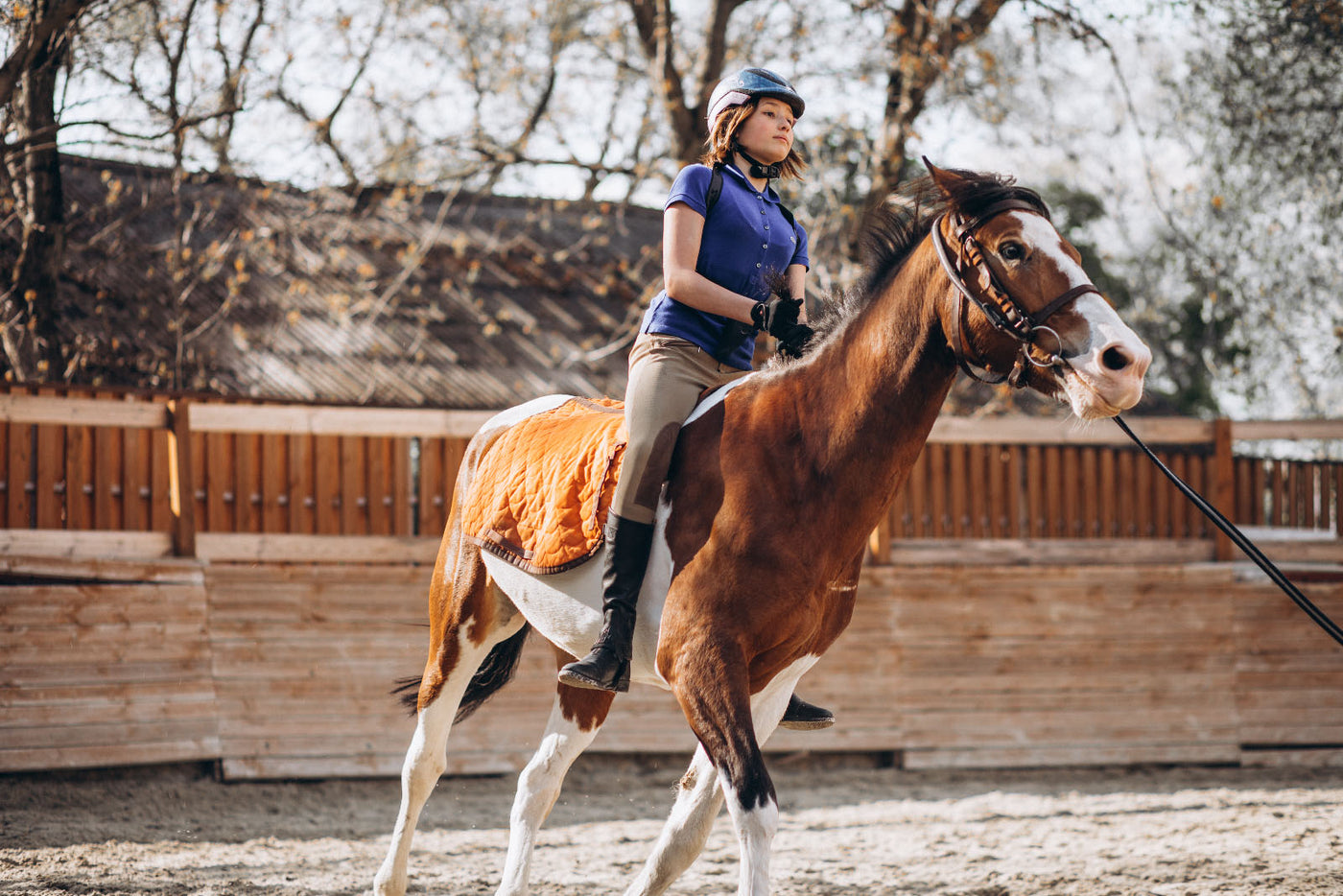 Equestrian