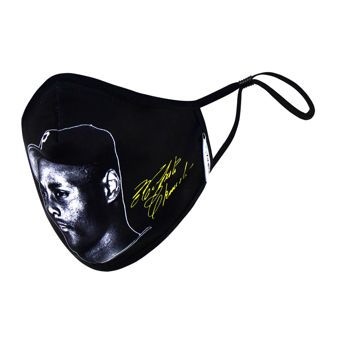 Face mask 3.1
